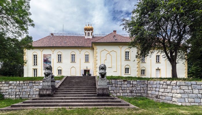 Palacio Szombathely, Condado de Vas