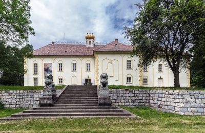 Palacio en venta Szombathely, Condado de Vas:  Vista posterior