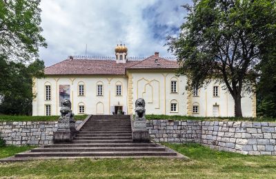 Palacio Szombathely, Condado de Vas