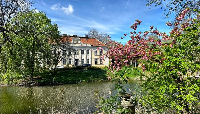 Palacio en venta Gola, Gran Polonia