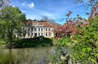 Palacio en venta Gola, województwo wielkopolskie, Imagen 2/42