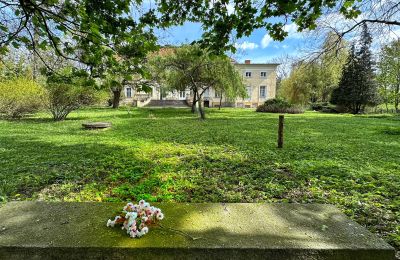 Palacio en venta Gola, województwo wielkopolskie, Imagen 5/42