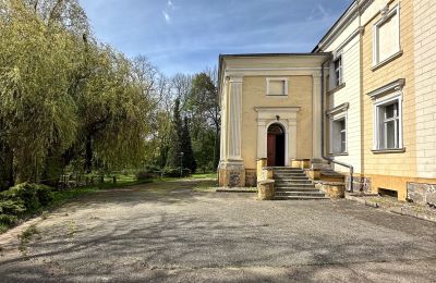 Palacio en venta Gola, województwo wielkopolskie, Imagen 42/42