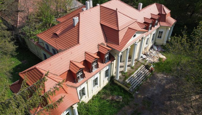 Palacio en venta Skoraszewice, województwo wielkopolskie,  Polonia