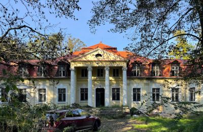 Palacio en venta Skoraszewice, Skoraszewice  16, województwo wielkopolskie, Vista frontal