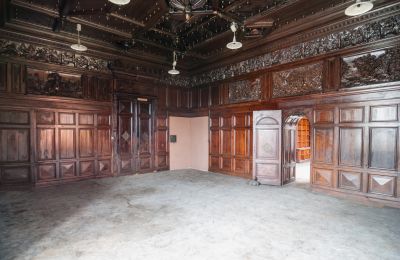 Palacio en venta Bożków, Palac Wilelma von Magnis 1, Voivodato de Baja Silesia, Sala de caza
