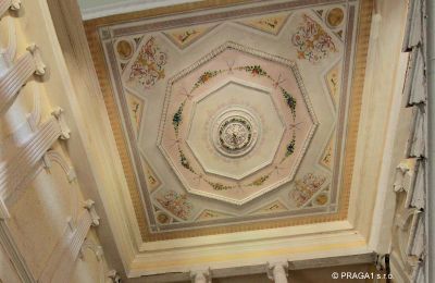 Palacio en venta okres Karlovy Vary, Techo