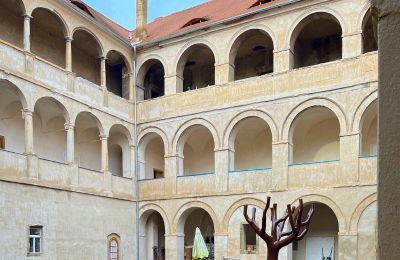 Palacio en venta Štětí, okres Litoměřice, Patio