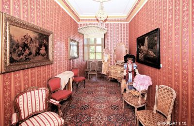 Palacio en venta okres Olomouc, Imagen 7/14