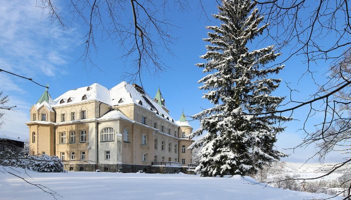 Palacio en venta Liberec, Liberecký kraj,  Chequia