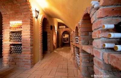 Palacio en venta Hlavní město Praha, Bodega