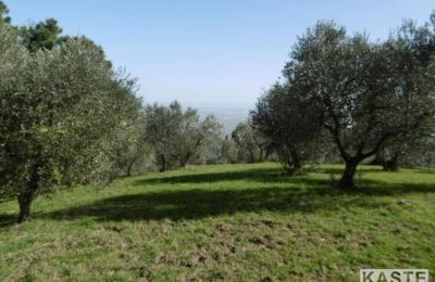 Casa de campo en venta Rivalto, Toscana, Imagen 8/15
