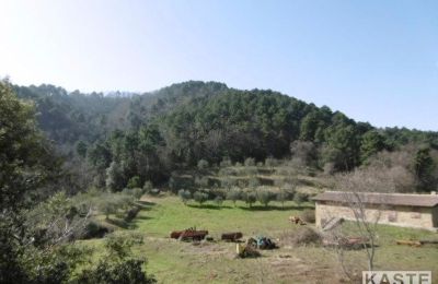 Casa de campo en venta Rivalto, Toscana, Imagen 12/15