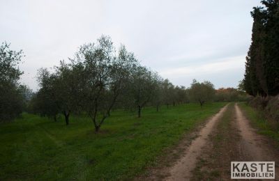 Monasterio en venta Peccioli, Toscana:  