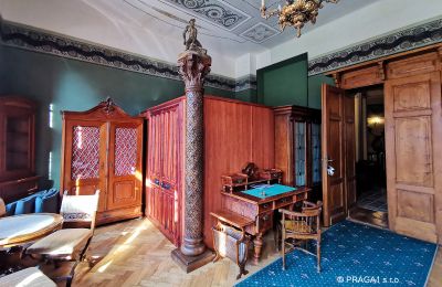 Palacio en venta Jihočeský kraj:  