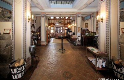 Palacio en venta Jihočeský kraj, Hall de entrada