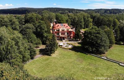 Palacio en venta Jihočeský kraj:  Drone