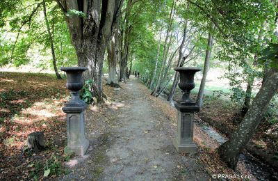 Palacio en venta Jihočeský kraj, Jardín del Palacio
