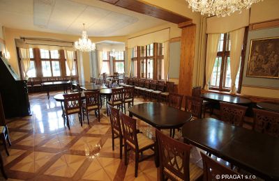 Palacio en venta Jihočeský kraj, Imagen 10/21