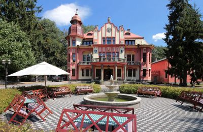 Palacio en venta Jihočeský kraj:  Vista frontal