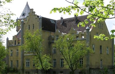 Palacio en venta Dobrowo, Voivodato de Pomerania Occidental:  Vista posterior