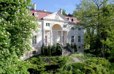 Palacio en venta Samotwór, Voivodato de Baja Silesia, Vista posterior