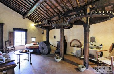 Molino en venta Camaiore, Toscana, Imagen 3/12