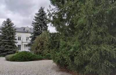 Casa señorial en venta Zarębów, Dwór w Zarębowie, Voivodato de Łódź:  