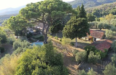 Mansión histórica en venta Castiglion Fiorentino, Toscana, Imagen 17/45
