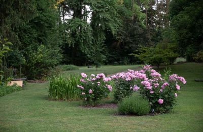 Palacio en venta Baden-Wurtemberg, Park