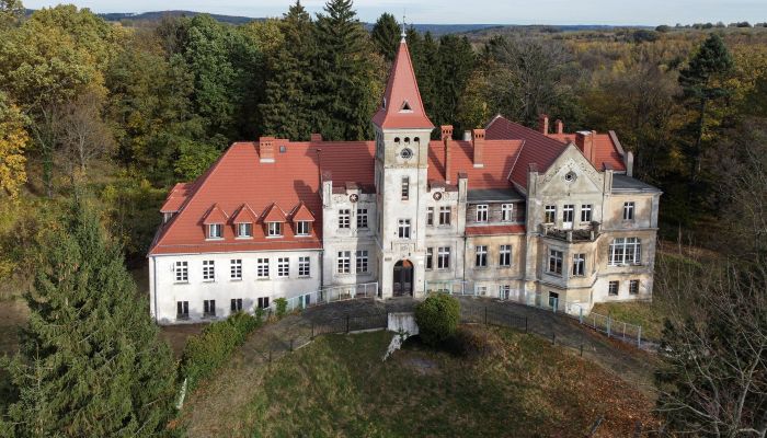Palacio en venta Grabiszyce Średnie, Voivodato de Baja Silesia,  Polonia
