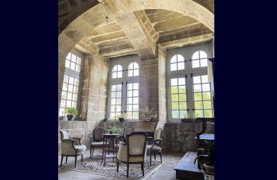 Palacio en venta Le Mans, Países del Loira, Detalles
