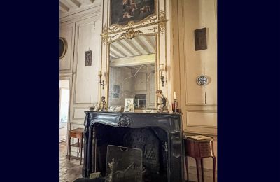 Palacio en venta Le Mans, Países del Loira, Chimenea