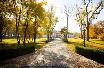 Casa señorial Zborów, województwo wielkopolskie