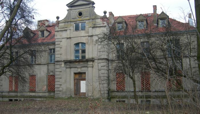 Palacio Gwoździany 2