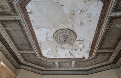 Palacio en venta Głuchowo, Palac 1, województwo wielkopolskie, Techo