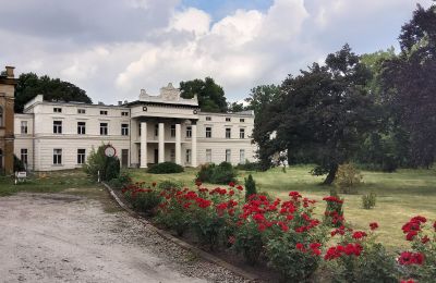 Palacio en venta Głuchowo, Palac 1, województwo wielkopolskie, Acceso