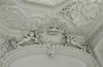 Palacio en venta powiat gorzowski, gmina Witnica, Dąbroszyn, Pałac w Dąbroszynie, Lubusz,  © Stowarzyszenie Templum