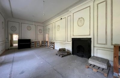 Palacio en venta powiat gorzowski, gmina Witnica, Dąbroszyn, Pałac w Dąbroszynie, Lubusz, © Stowarzyszenie Templum