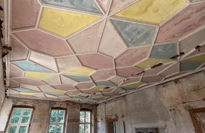 Palacio en venta powiat gorzowski, gmina Witnica, Dąbroszyn, Pałac w Dąbroszynie, Lubusz, Techo