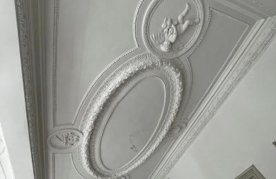 Palacio en venta powiat gorzowski, gmina Witnica, Dąbroszyn, Pałac w Dąbroszynie, Lubusz, Techo