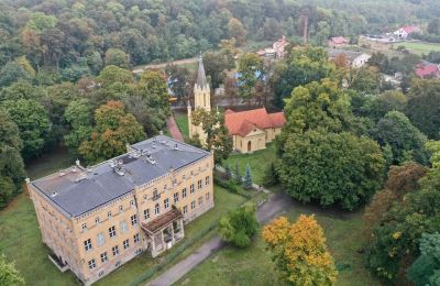 Palacio en venta powiat gorzowski, gmina Witnica, Dąbroszyn, Pałac w Dąbroszynie, Lubusz, © Stowarzyszenie Templum