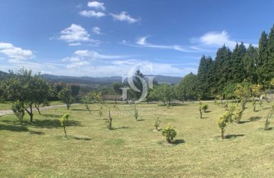 Casa señorial en venta Nigrán, Galicia, Imagen 19/39