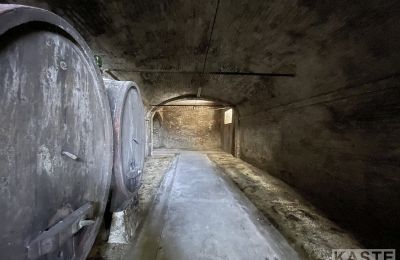 Villa histórica en venta Santo Pietro Belvedere, Toscana, Imagen 13/14