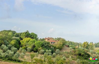 Casa de campo en venta Livorno, Toscana, Imagen 15/16