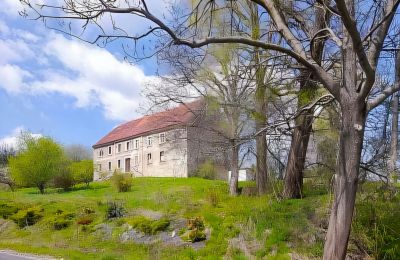 Casa de campo en venta Lubomierz, Voivodato de Baja Silesia, Imagen 16/27