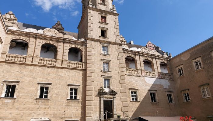 Palacio Gorzanów 2
