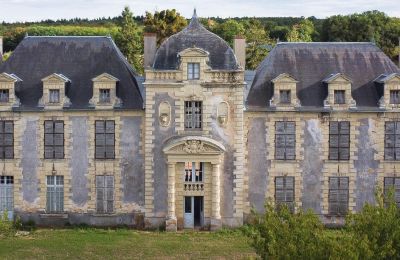 Inmuebles con carácter, Château en Nueva Aquitania, arquitectura de primer orden, 26 hectáreas