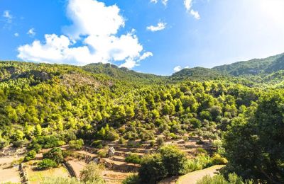 Casa señorial en venta Estellencs, Islas Baleares, Vista