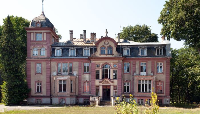 Palacio en venta Brzeźnica, Voivodato de Lubus,  Polonia